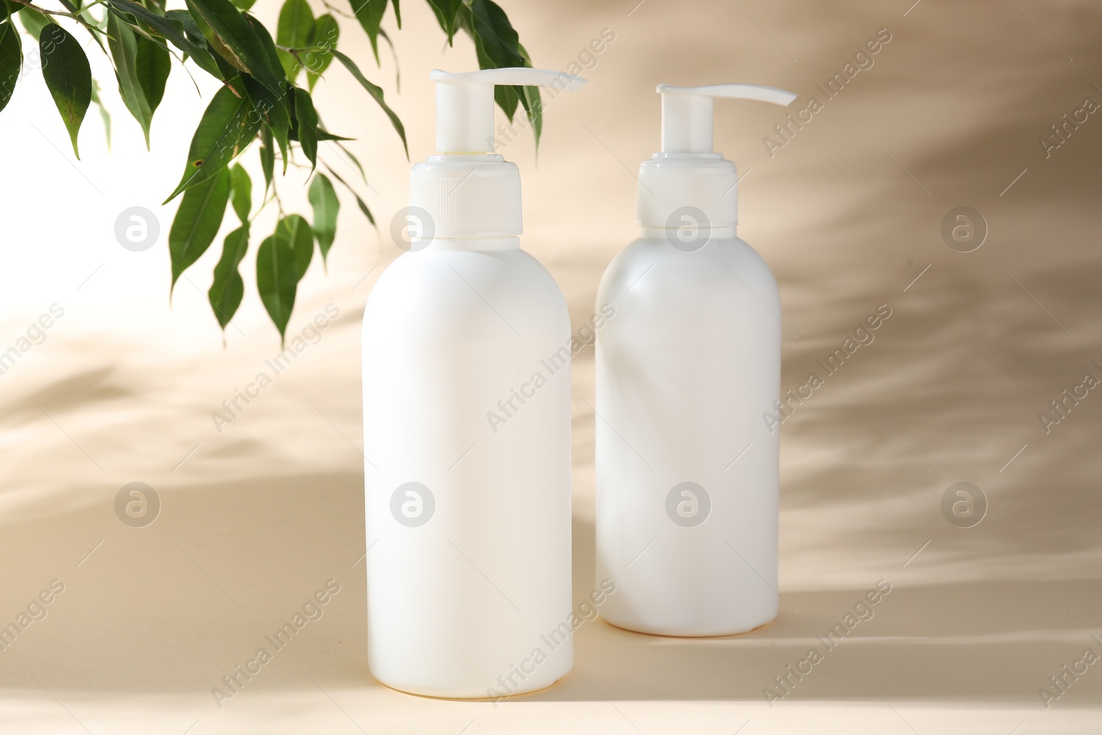 Photo of Promotion. Cosmetic products and green leaves on beige background
