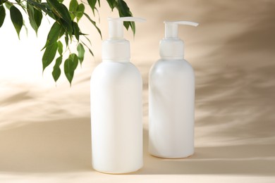Photo of Promotion. Cosmetic products and green leaves on beige background