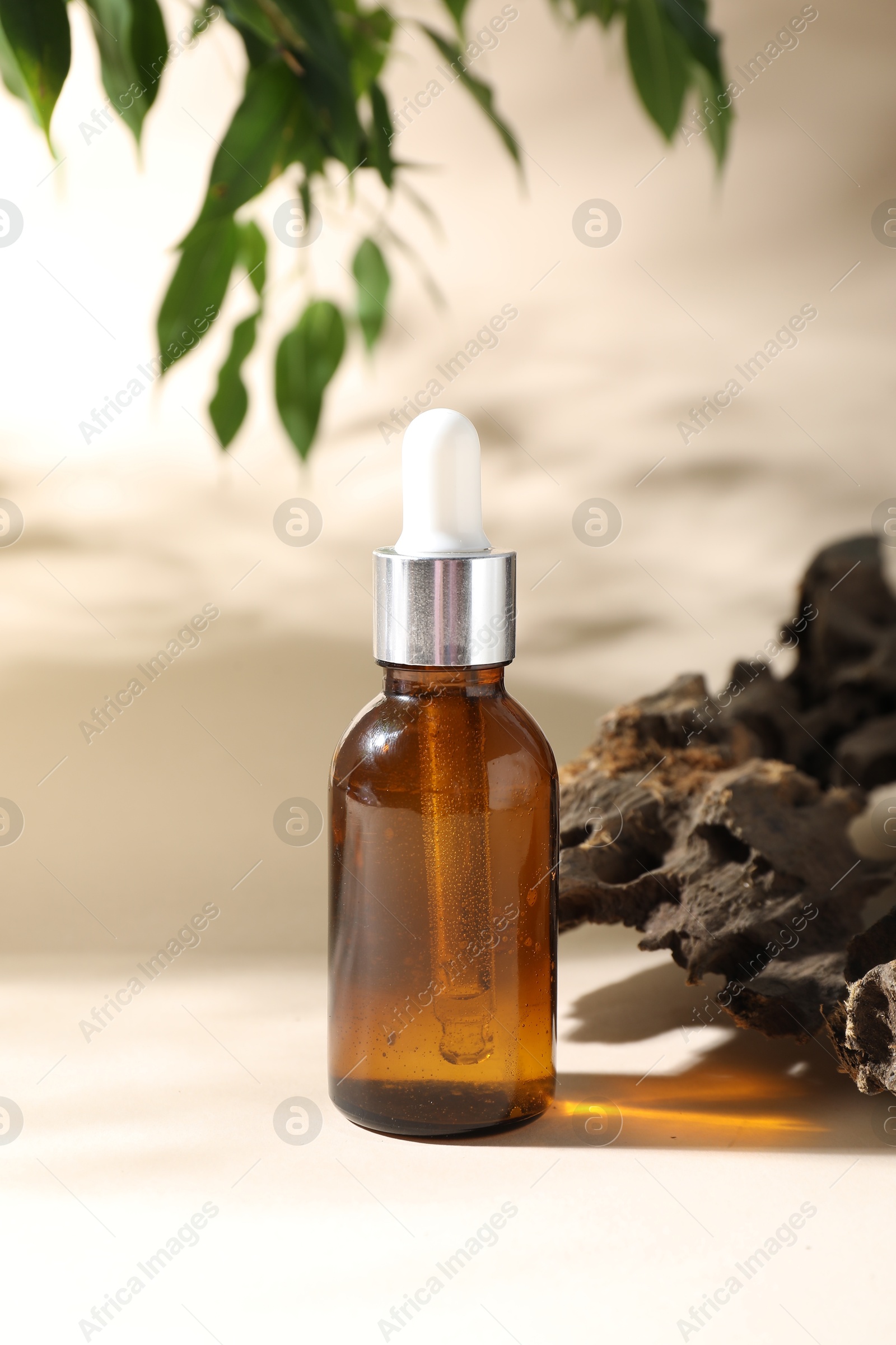 Photo of Promotion. Bottle of cosmetic product, green leaves and driftwood on beige background, closeup