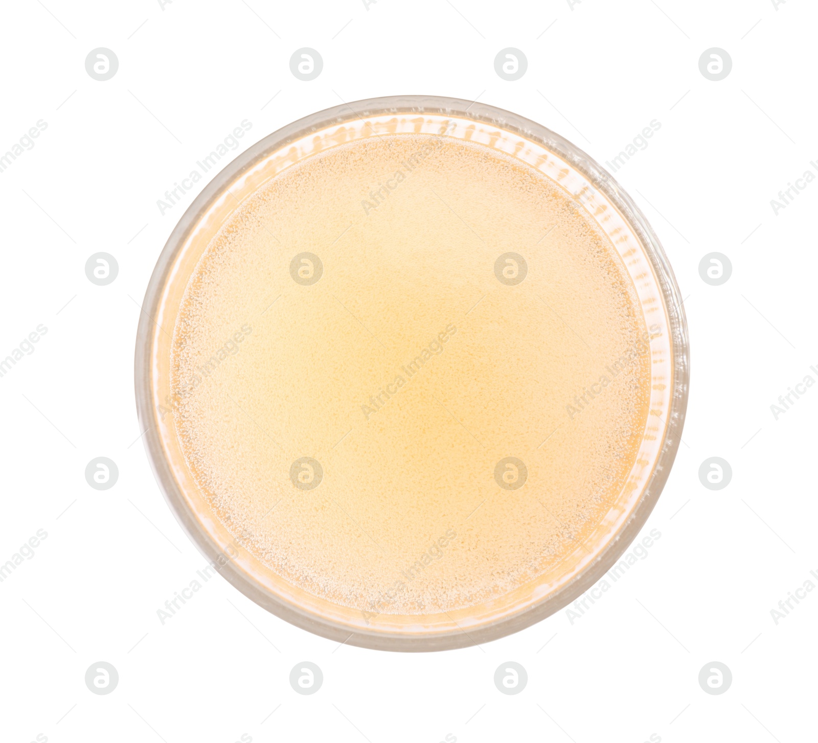 Photo of Tasty cider in glass isolated on white, top view