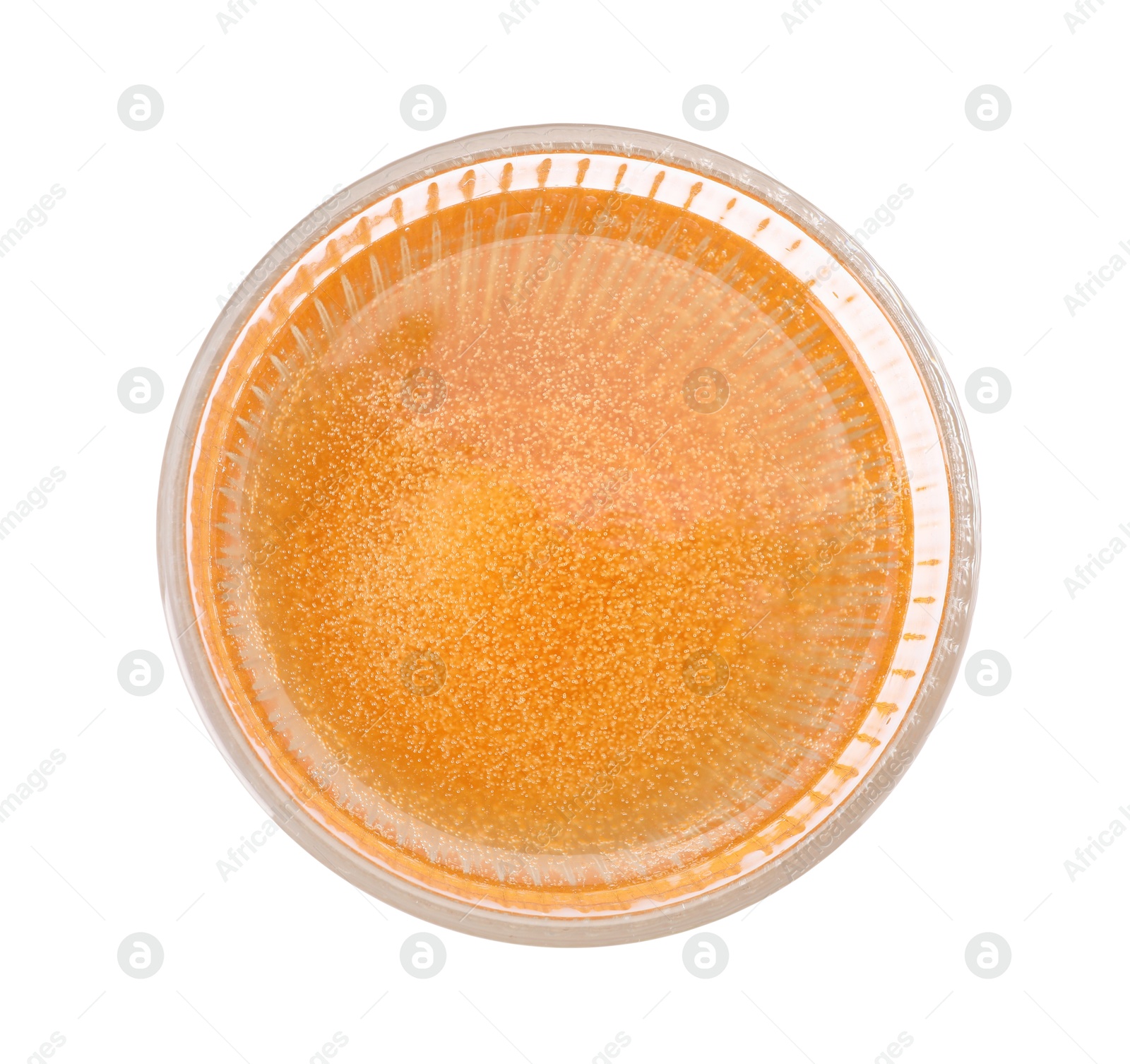 Tasty cider in glass isolated on white, top view Photo of Tasty cider in glass isolated on white, top view