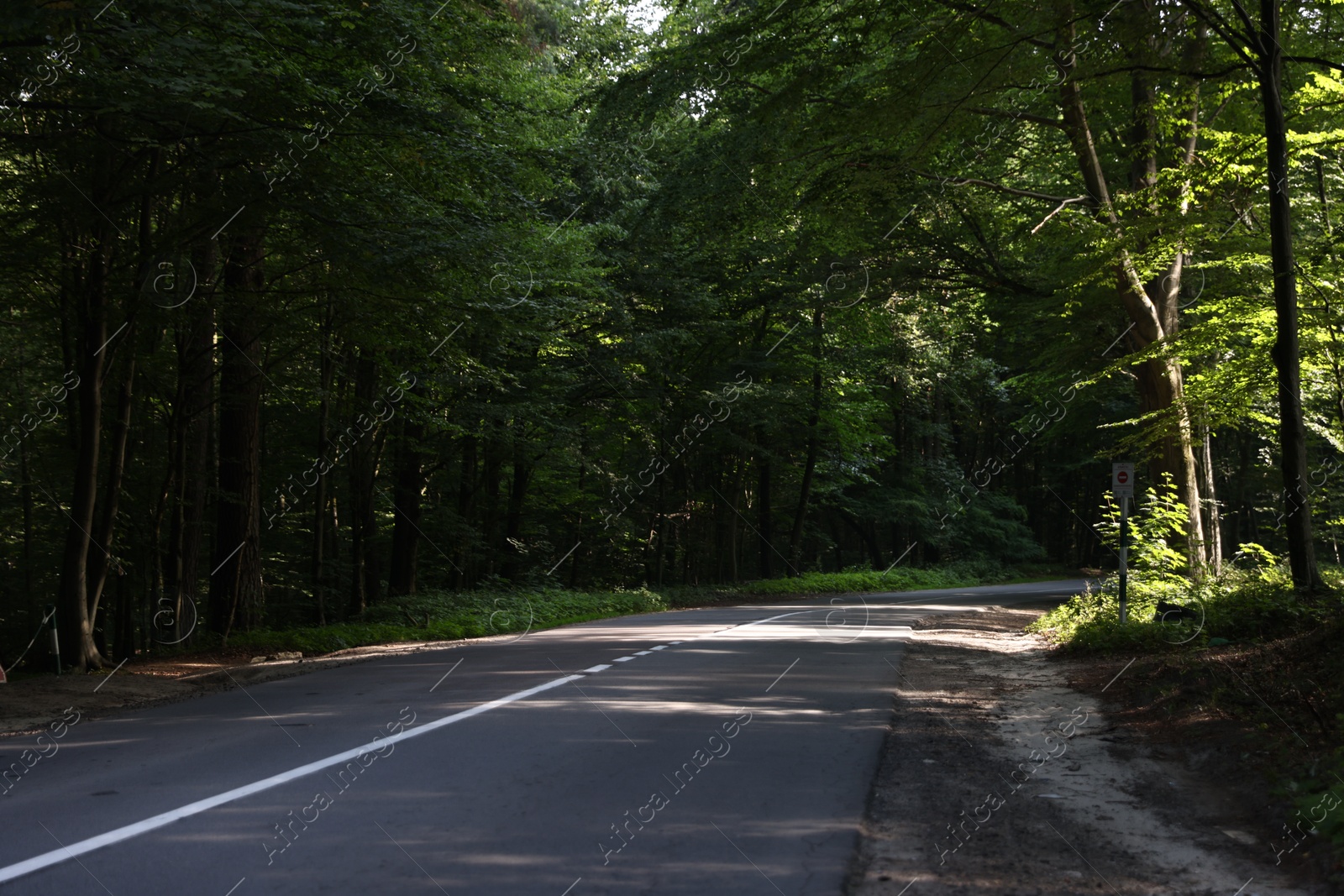Beautiful view of asphalt road going through forest Photo of Beautiful view of asphalt road going through forest