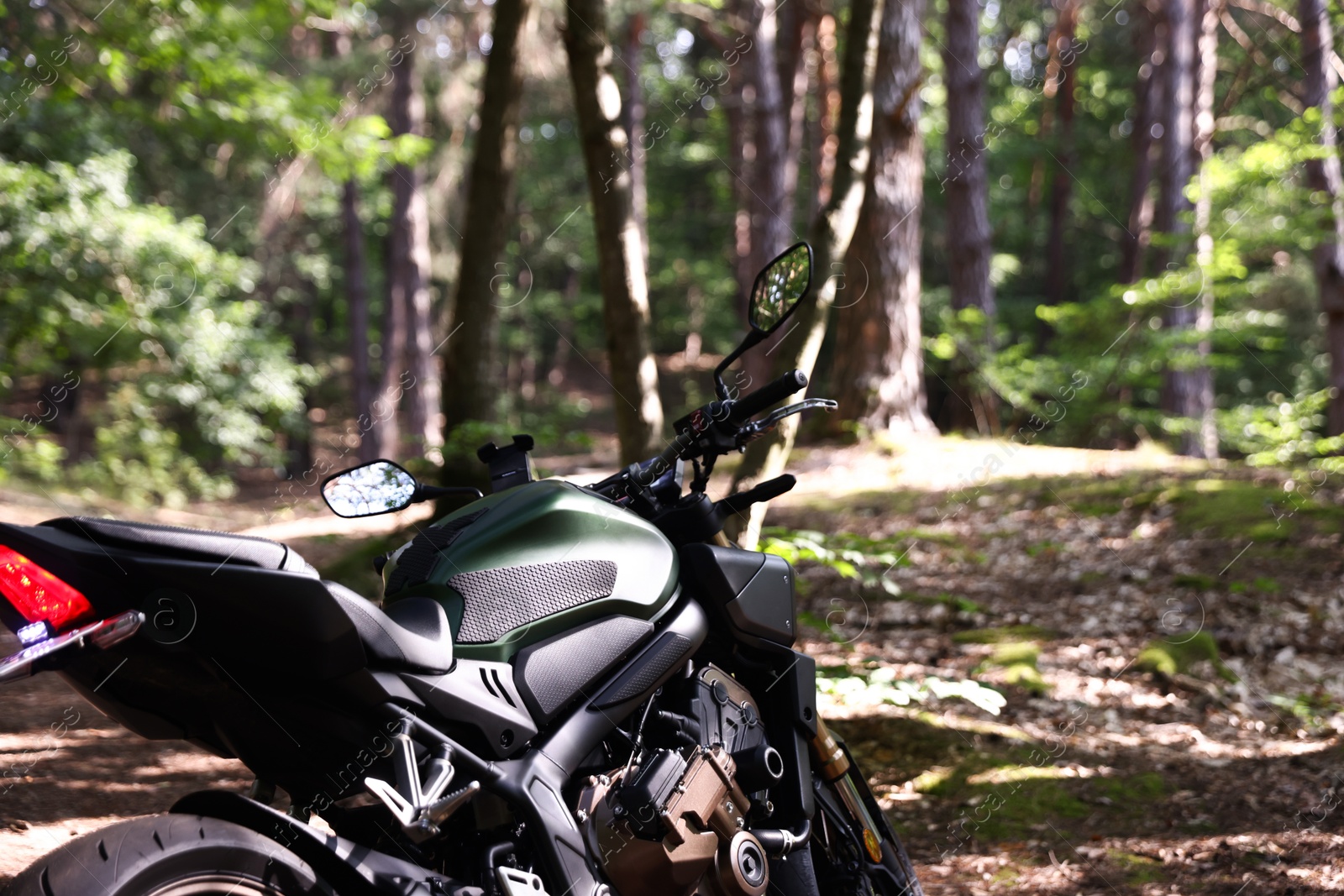 Photo of Modern black motorcycle parked in forest. Space for text
