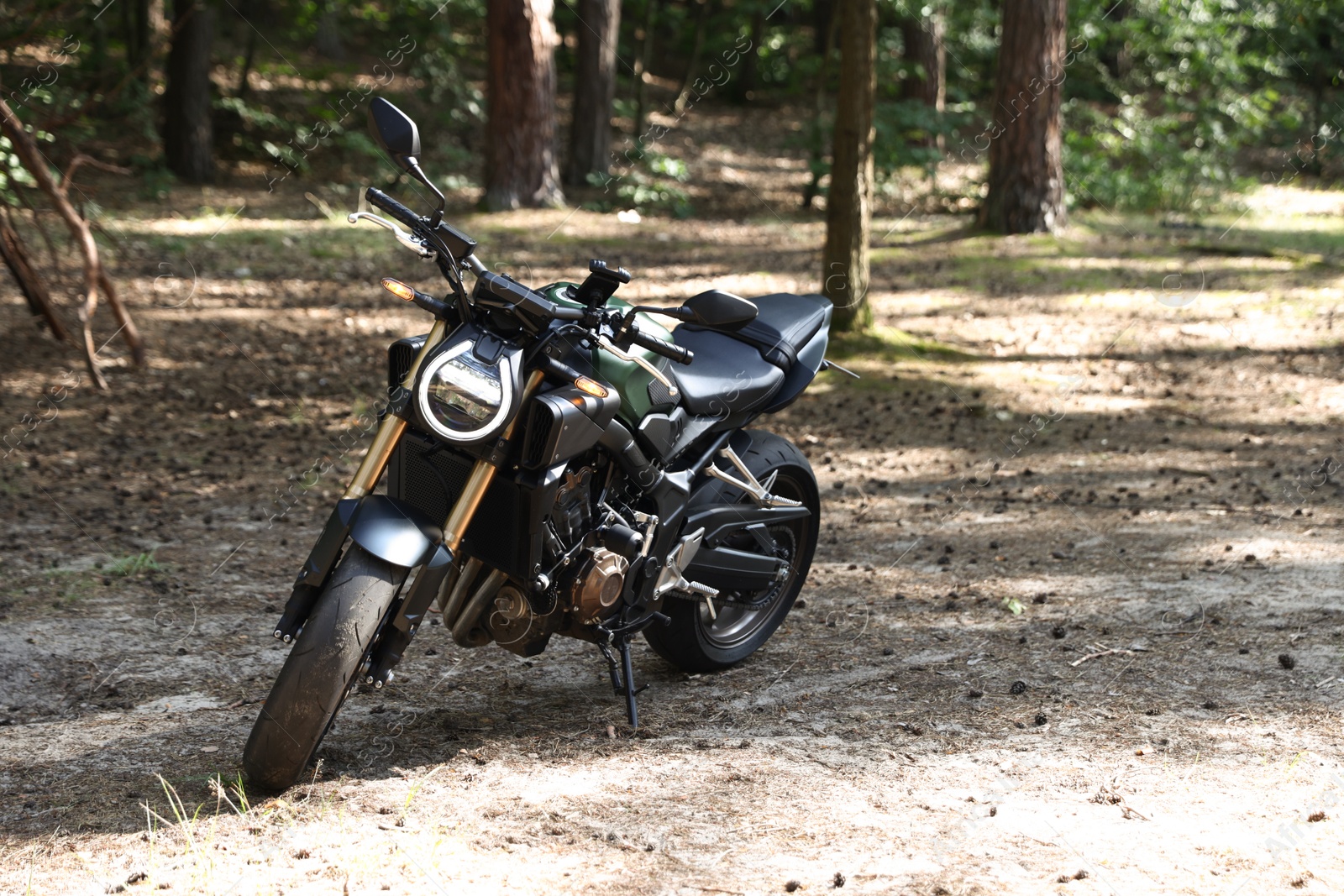One modern black motorcycle parked in forest Photo of One modern black motorcycle parked in forest
