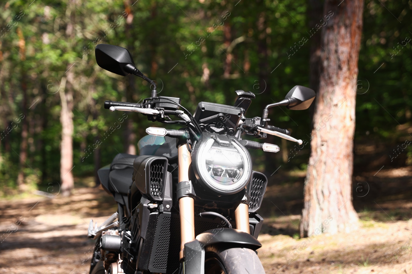 One modern black motorcycle parked in forest Photo of One modern black motorcycle parked in forest