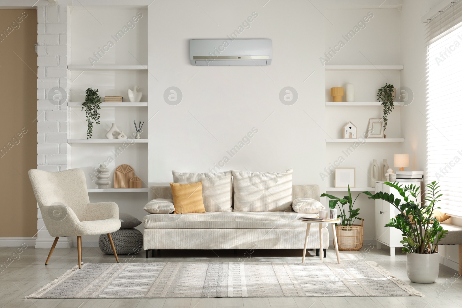 Contemporary furniture, houseplants and decor in living room. Air conditioner keeping comfortable temperature indoors Image of Contemporary furniture, houseplants and decor in living room. Air conditioner keeping comfortable temperature indoors