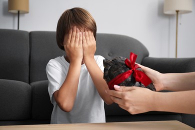 Photo of Dreams come true. Mother presenting turtle to her son at home, closeup