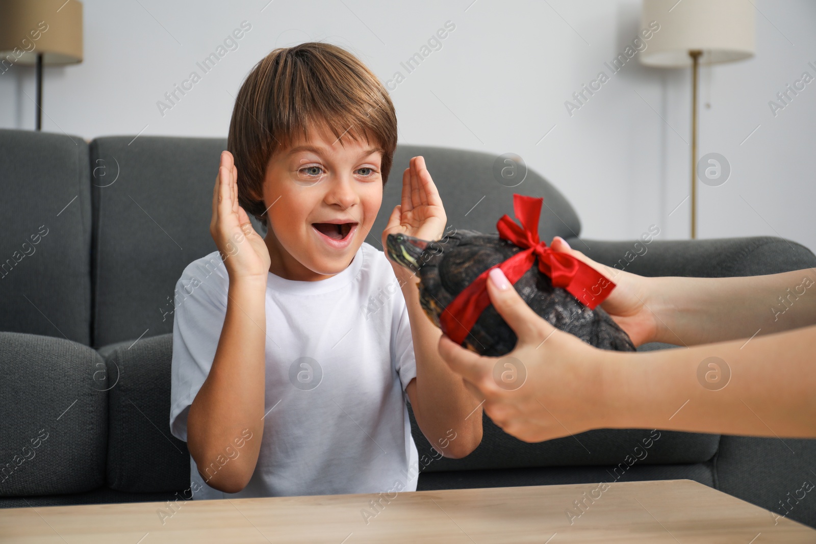 Photo of Dreams come true. Mother presenting turtle to her happy son at home, closeup