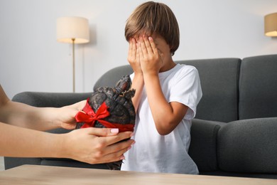 Photo of Dreams come true. Mother presenting turtle to her son at home, closeup