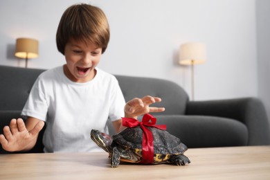 Photo of Dreams come true. Happy boy at table with turtle at home, selective focus