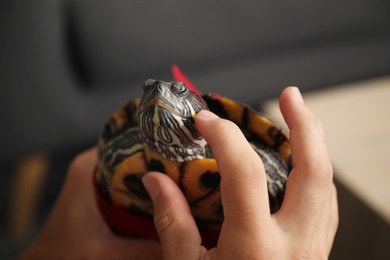 Photo of Boy with cute turtle indoors, closeup. Domestic pet