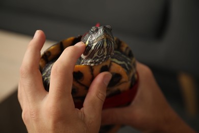 Photo of Boy with cute turtle indoors, closeup. Domestic pet