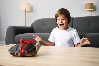 Photo of Dreams come true. Happy boy at table with turtle at home, selective focus