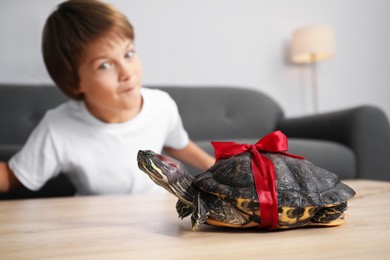 Photo of Dreams come true. Funny boy at table with turtle at home, selective focus