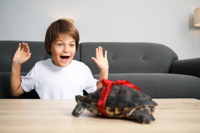 Photo of Dreams come true. Surprised boy at table with turtle at home, selective focus