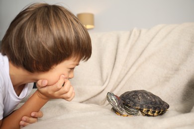 Photo of Little boy and cute turtle on sofa at home, closeup. Domestic pet