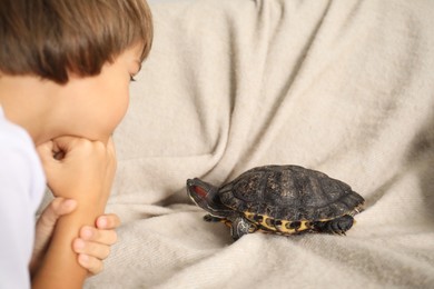 Photo of Little boy and cute turtle on sofa, closeup. Domestic pet