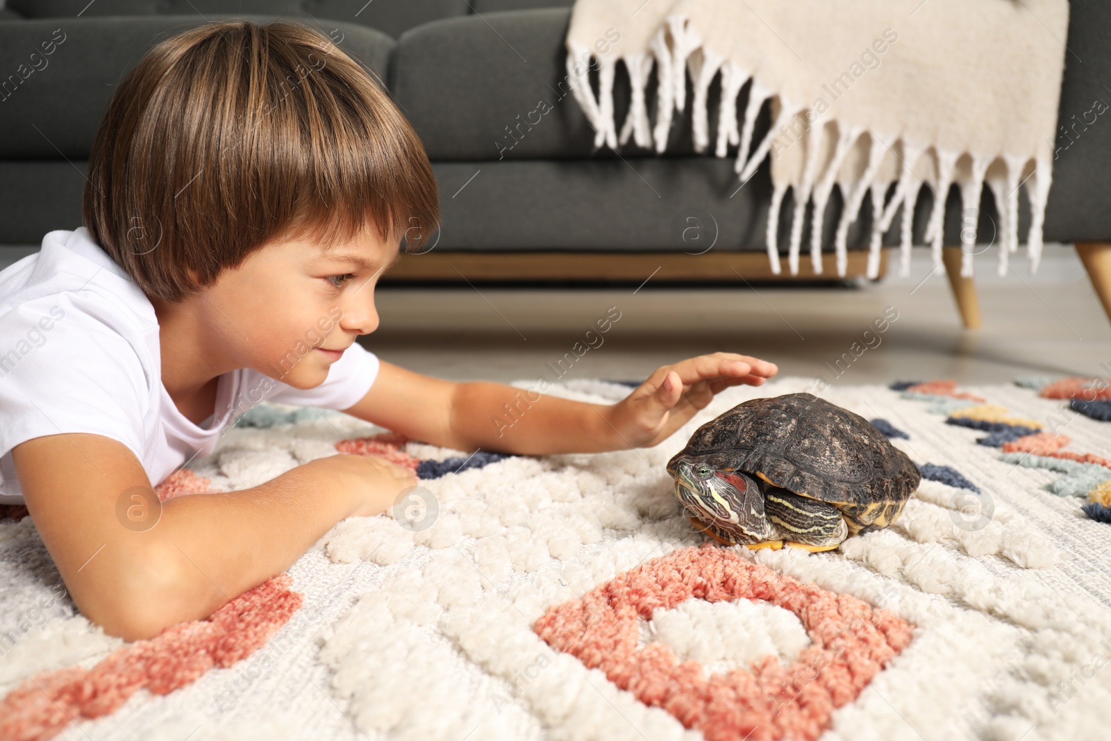 Little boy stroking his turtle on floor at home. Domestic pet Photo of Little boy stroking his turtle on floor at home. Domestic pet