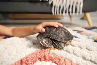 Photo of Little boy stroking his turtle on floor at home, closeup. Domestic pet