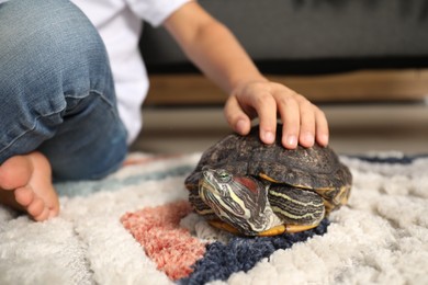 Photo of Little boy stroking his turtle on floor at home, closeup. Domestic pet