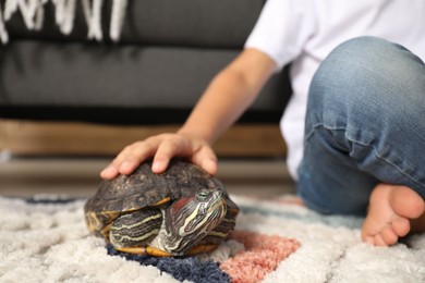 Photo of Little boy stroking his turtle on floor at home, closeup. Domestic pet