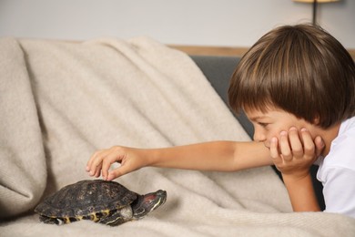 Photo of Little boy touching his turtle on sofa at home. Domestic pet