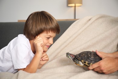 Photo of Mother showing cute turtle to her son on sofa at home, closeup. Domestic pet