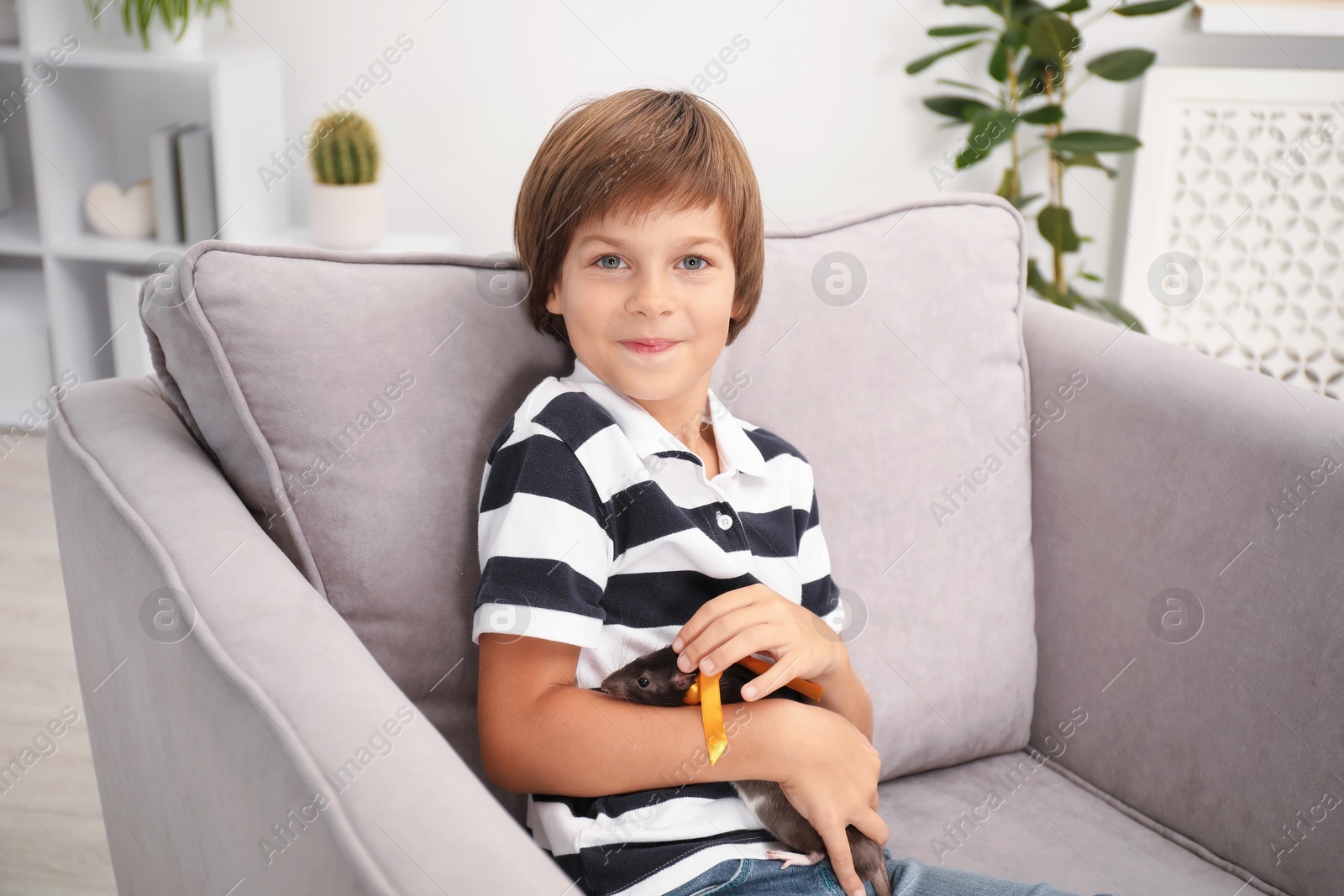 Photo of Dreams come true. Little boy with pet rat on armchair at home