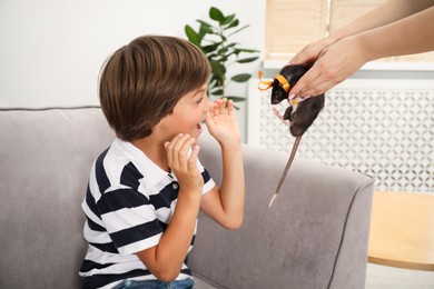 Photo of Dreams come true. Mother presenting pet rat to her happy son at home, closeup