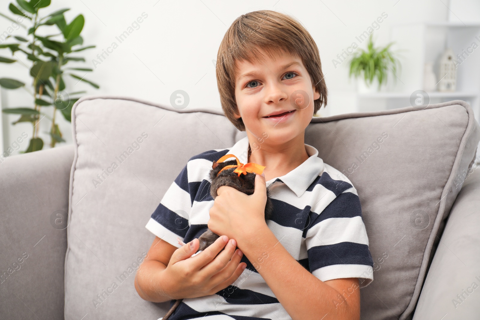 Photo of Dreams come true. Happy boy with pet rat on armchair at home