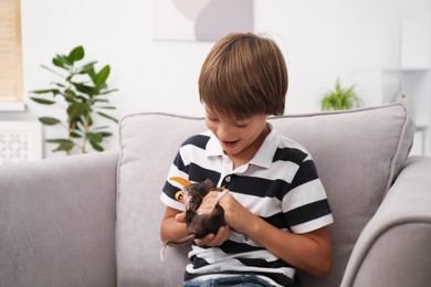 Photo of Dreams come true. Happy boy with pet rat on armchair at home