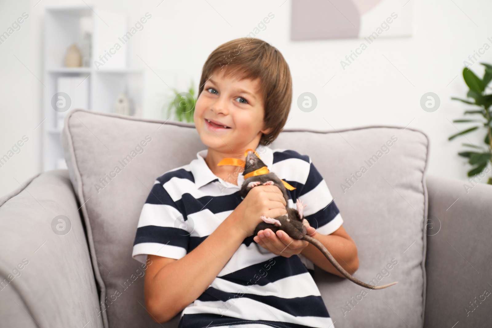 Photo of Dreams come true. Happy boy with pet rat on armchair at home