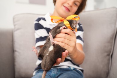 Photo of Dreams come true. Happy boy with pet rat on armchair at home, selective focus