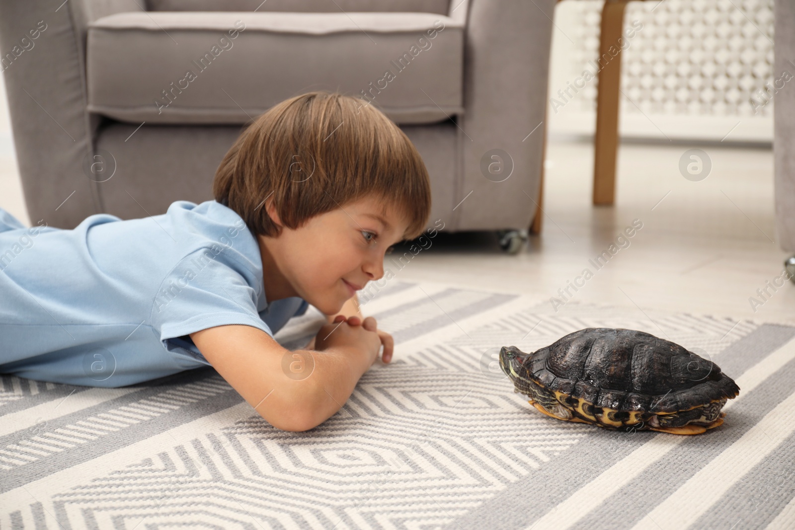 Little boy and his cute turtle on floor at home. Domestic pet Photo of Little boy and his cute turtle on floor at home. Domestic pet