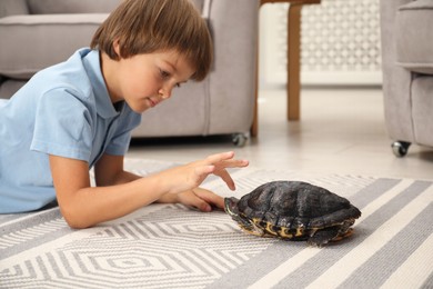 Photo of Little boy and cute turtle on floor at home. Domestic pet