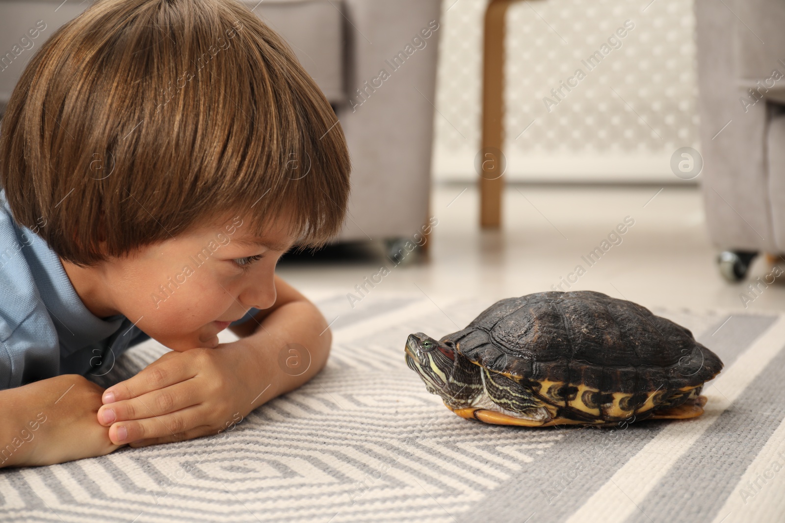 Little boy and cute turtle on floor at home, closeup. Domestic pet Photo of Little boy and cute turtle on floor at home, closeup. Domestic pet