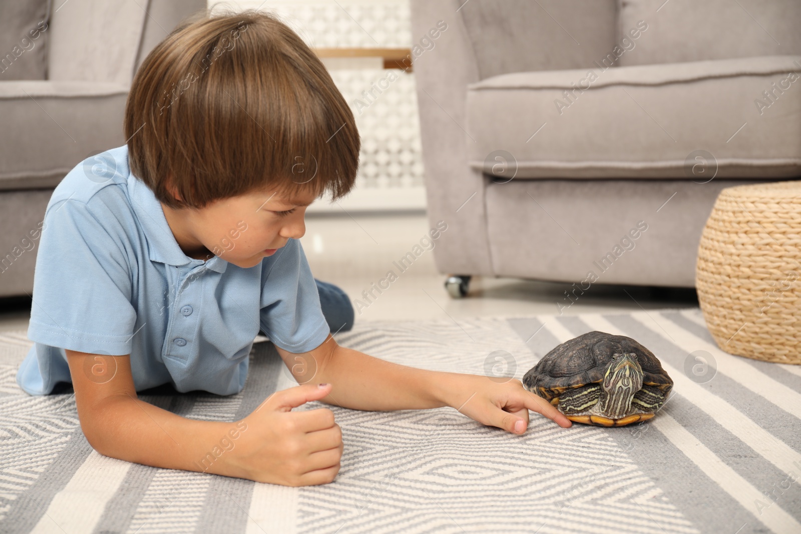 Little boy and cute turtle on floor at home. Domestic pet Photo of Little boy and cute turtle on floor at home. Domestic pet