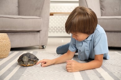 Photo of Little boy and cute turtle on floor at home. Domestic pet