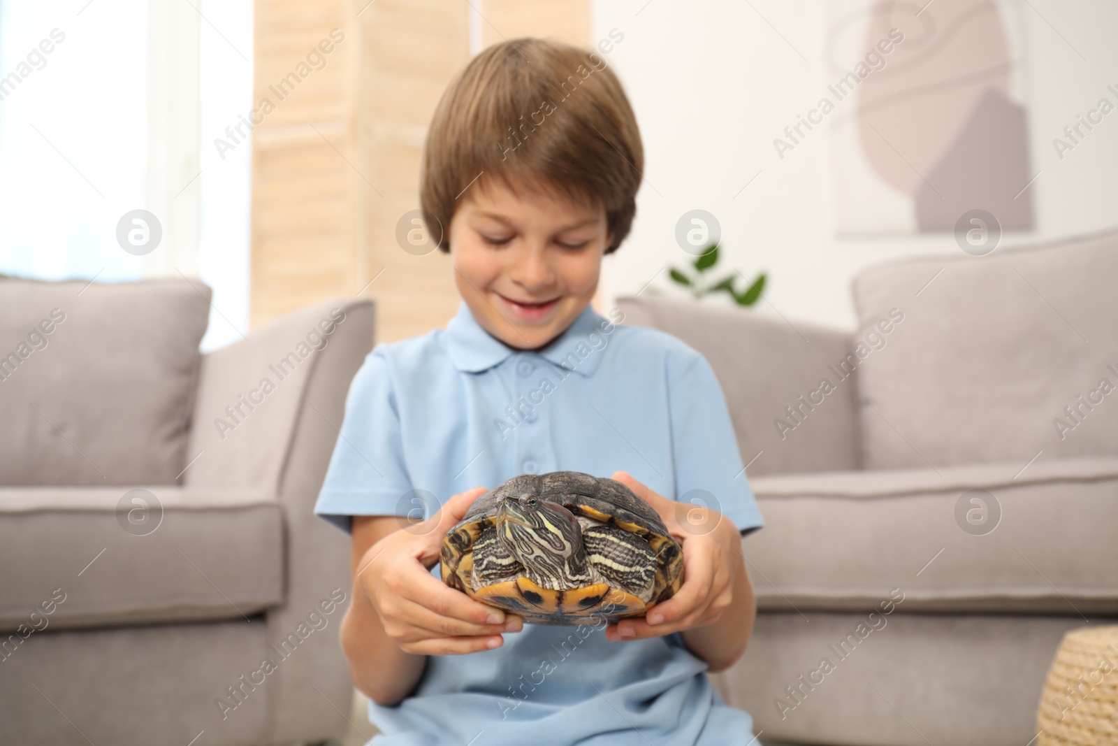 Happy boy holding his turtle pet at home Photo of Happy boy holding his turtle pet at home
