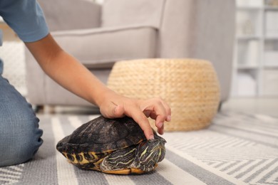 Photo of Little boy stroking his turtle pet on floor at home, closeup. Space for text