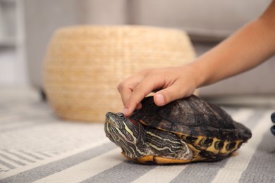 Photo of Little boy stroking his turtle pet on floor at home, closeup. Space for text