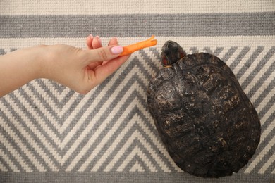 Photo of Woman feeding cute turtle pet on floor, top view