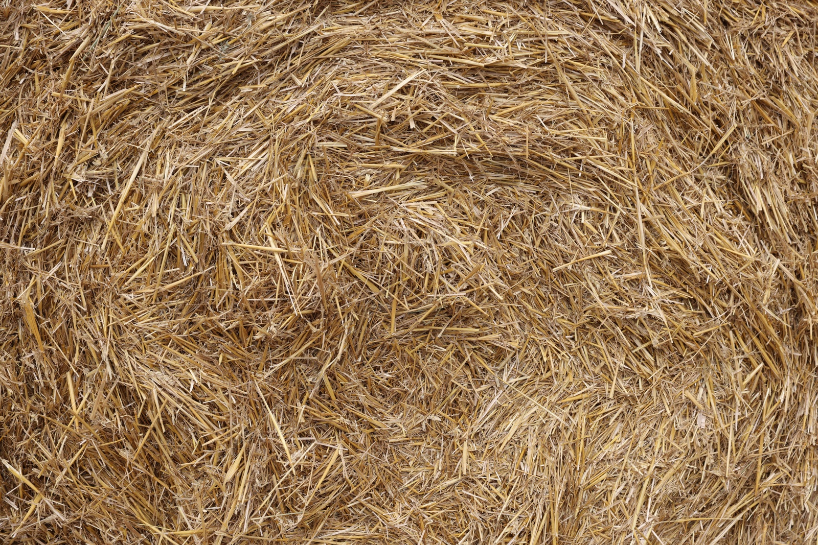 Hay bale with dried grass as background, closeup Photo of Hay bale with dried grass as background, closeup