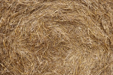 Photo of Hay bale with dried grass as background, closeup