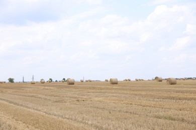 Photo of Many hay bales in field on summer day