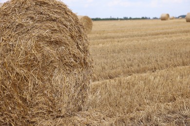 Photo of Hay bale in field, closeup. Space for text