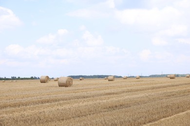 Photo of Many hay bales in field on summer day