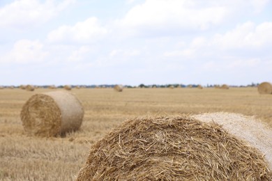 Photo of Many hay bales in field, selective focus