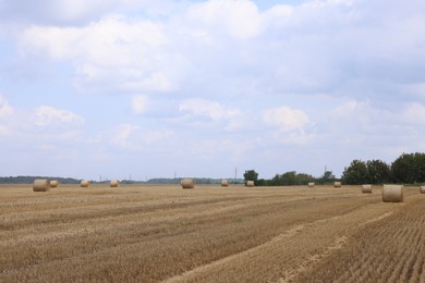 Photo of Many hay bales in field on summer day