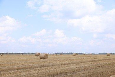 Photo of Many hay bales in field on summer day